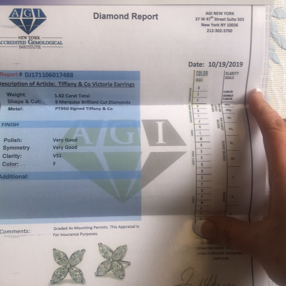 Authentic Tiffany&Co Large Victoria Earrings - Picture 9 of 10